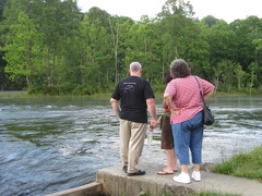 Dam Release Water Level6
